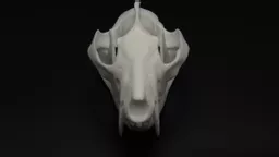Opossum 3.jpg