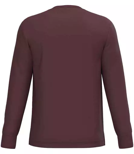 NS333%20DCY%20BACK.jpg?