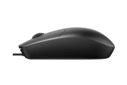 Rapoo N100-BK mouse Office Ambidextrous USB Type-A Optical 1600 DPI