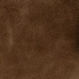 1702132160-21170500.jpg?