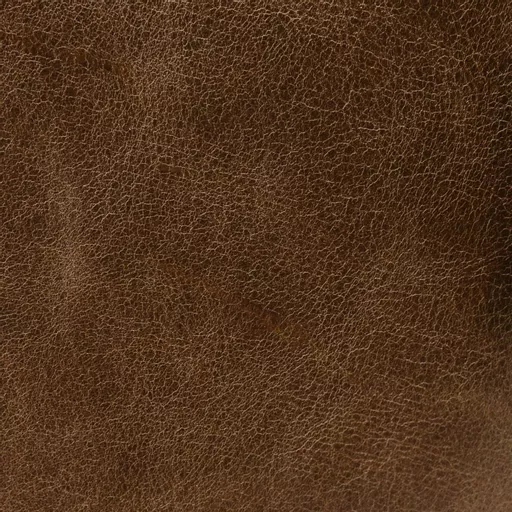 1702132160-21170500.jpg?