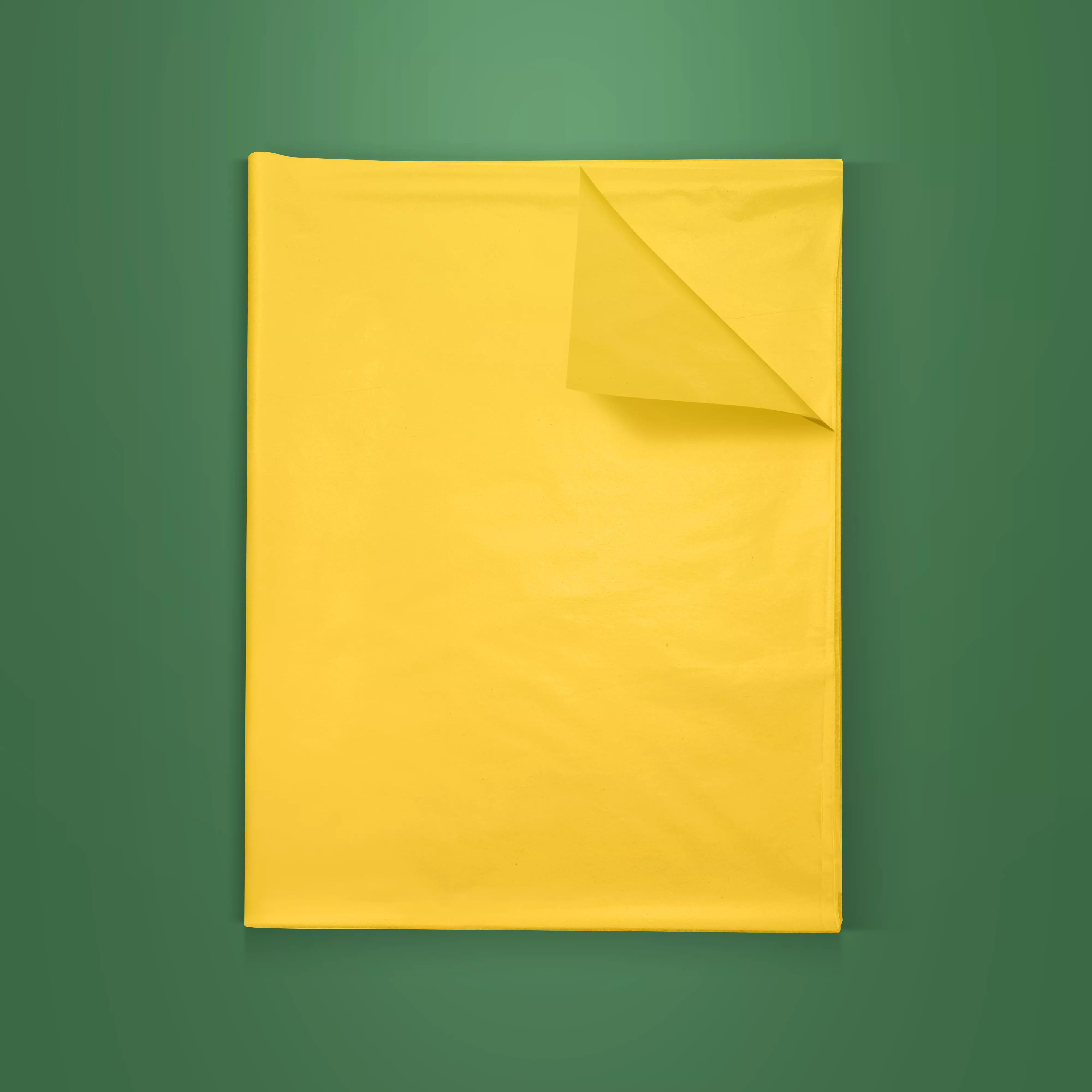 JJ O'Toole tissue