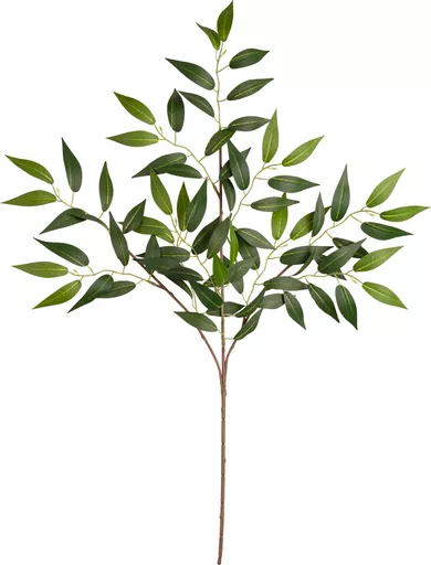 IT379354_1.jpg