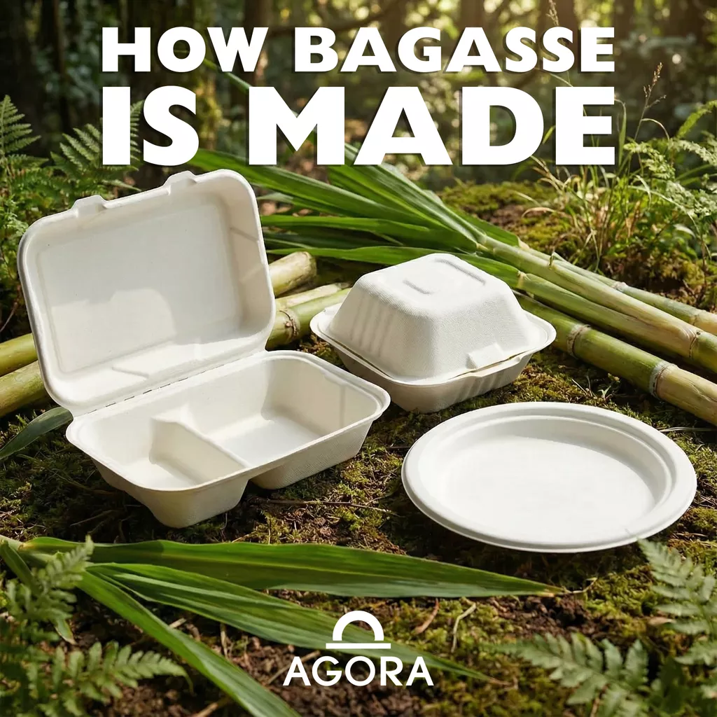 Bagasse food container