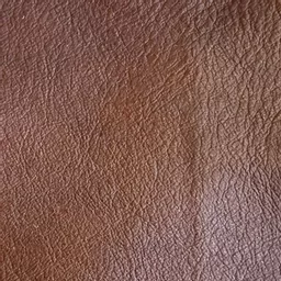 1745663333-81274700.jpg?