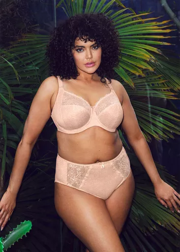 Morgan Full Brief Cameo Rose on model.jpg