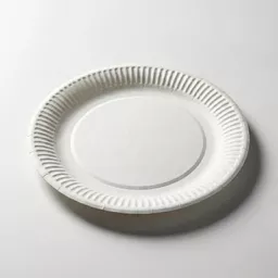 _0000s_0001_9_ Paper Plate White.jpg