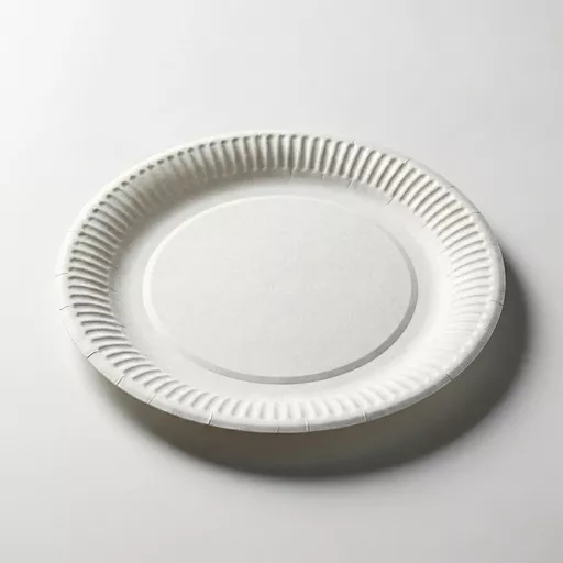 _0000s_0001_9_ Paper Plate White.jpg