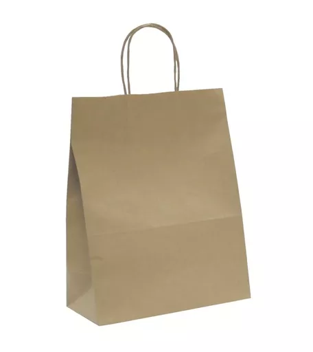 Natural Paper Bag - Pack of 50