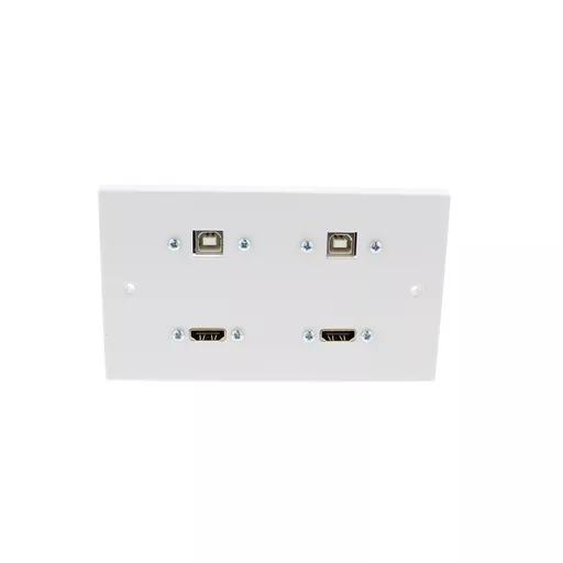 Double Gang  2 x HDMI & 2 x USB-B Wall Plate (Fly lead couplers)