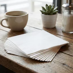 30cm 1-Ply Napkin White_0000s_0000_NAPKIN000005.jpg