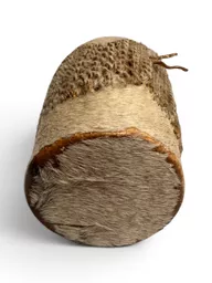 SKIN DRUM 3 (1).jpg