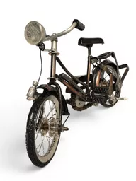 bike figure 2.jpg
