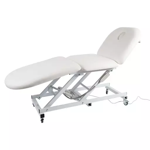 SkinMate 3 Section Electric Couch