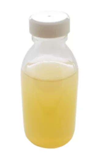 1651654002f3dd6e4585e92843133e073e6cb9af0e.PNG?