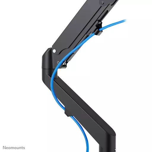 Neomounts monitor arm desk mount