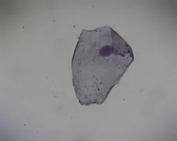 FINHC1006523.png
