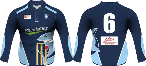 Cricket shirt Ls.png