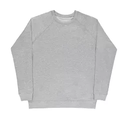 Men's 'ClÈment' Raglan Sweat