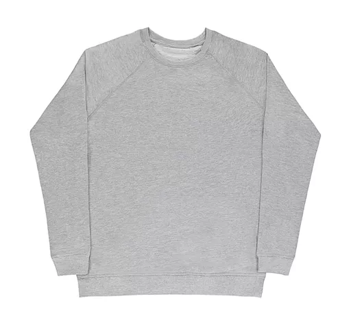 Men's 'ClÈment' Raglan Sweat