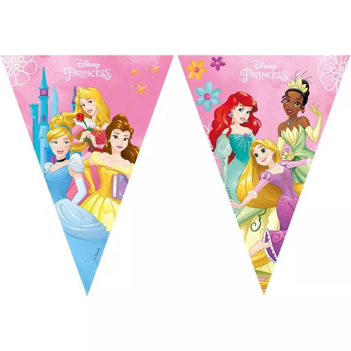 Disney Princess Live Your Story Flag Banner