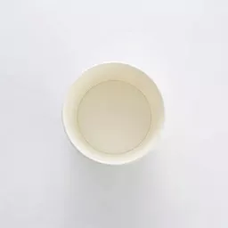 _0000s_0001_8oz Soup Container White.jpg