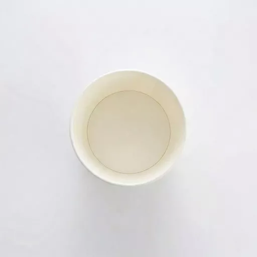 _0000s_0001_8oz Soup Container White.jpg