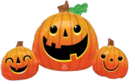 IT298687.webp