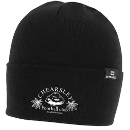 Beanie Hat.png