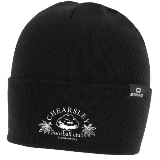 Beanie Hat.png