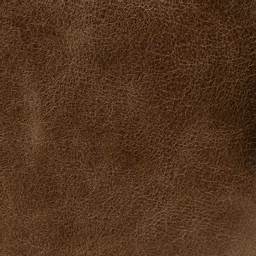 Faded Saddle - No Text.png