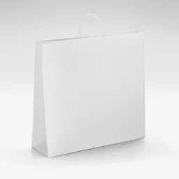 White-Kraft-Unprinted-Twist-Bag-Large.jpg