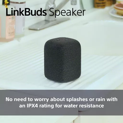 L8kW2fqh20uaq8PI7ipB4Q.c-r.jpg?