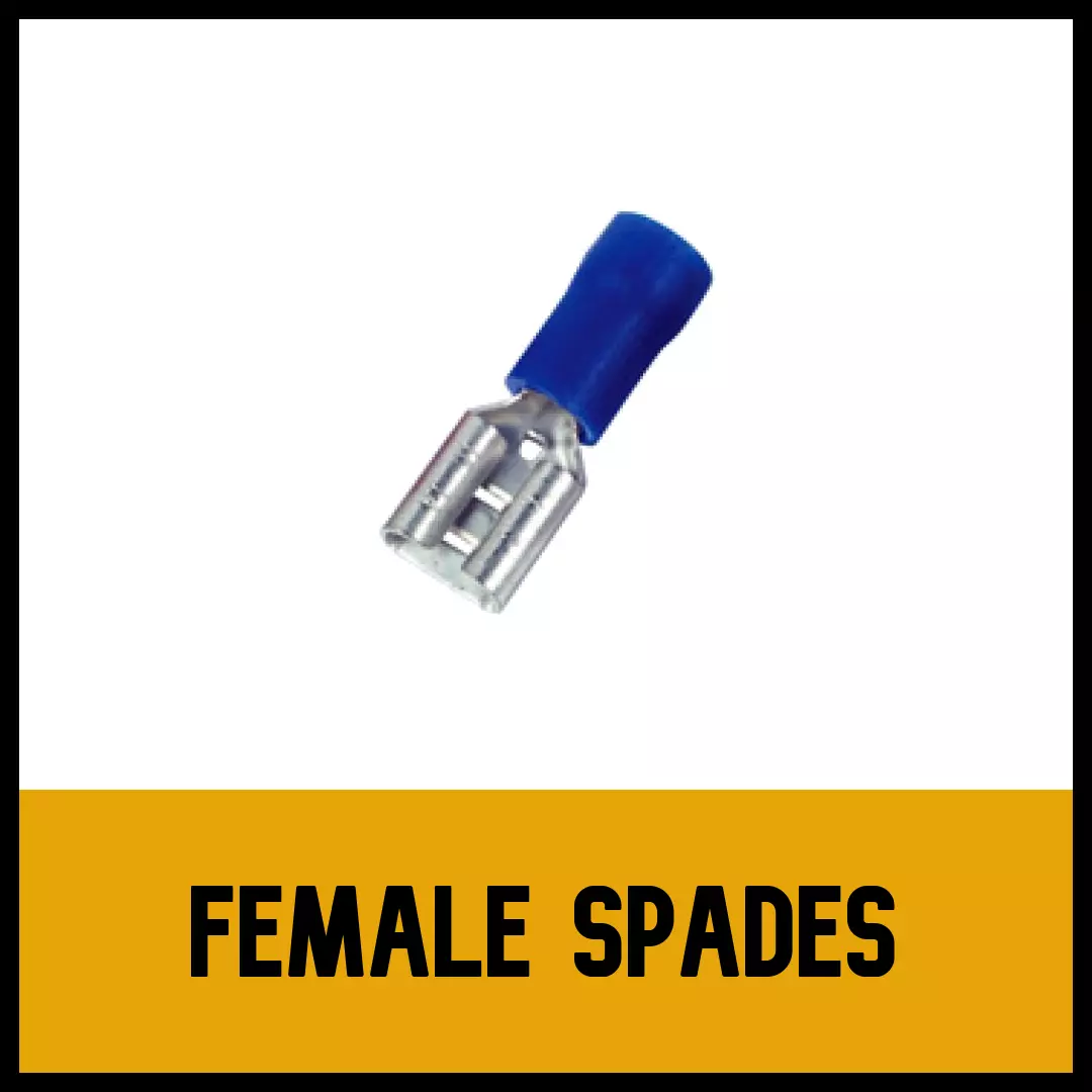 Female Spades