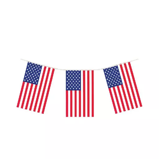 USA Bunting 12ft