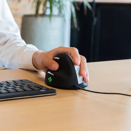 38SxWm24kkGBTZqh_vV_1A.c-r.jpg?