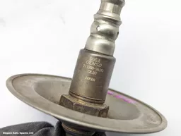 db7bf650-77f2-4d0d-bb35-71c96aa6152d.jpeg?