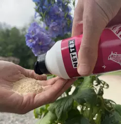 Nettex Mineral Boost Powder shown in hand