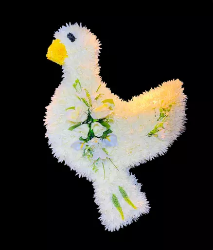 Dove Funeral Tribute - memorial - peace - love