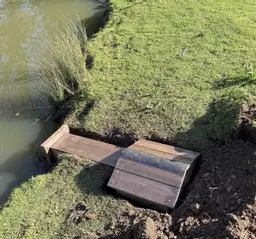 Shelduck Nest Box Partially Set In River Bank