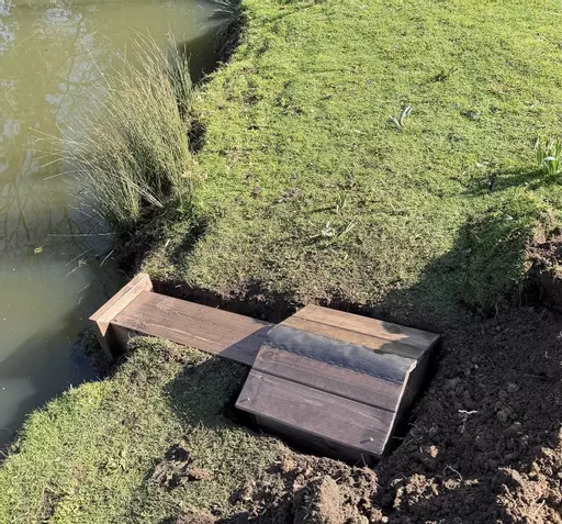 Shelduck Nest Box Partially Set In River Bank
