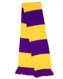 Team Scarf