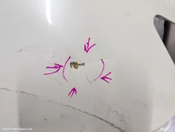 1dab125a-ba80-45e5-8959-e1cc48e11a8d.jpeg?