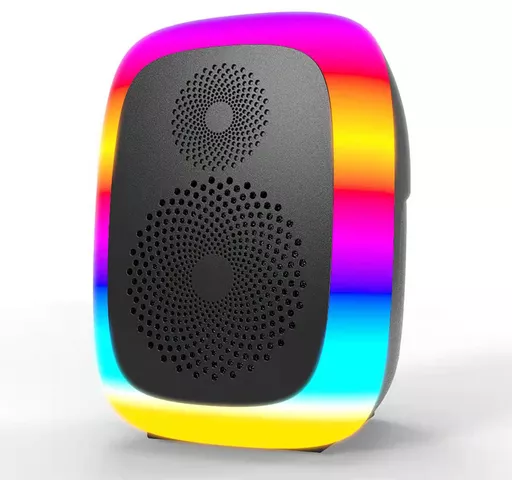 6.5" LED Party Speaker 10W