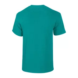 Gildan_GD005_AntiqueJadeDome_Back.png