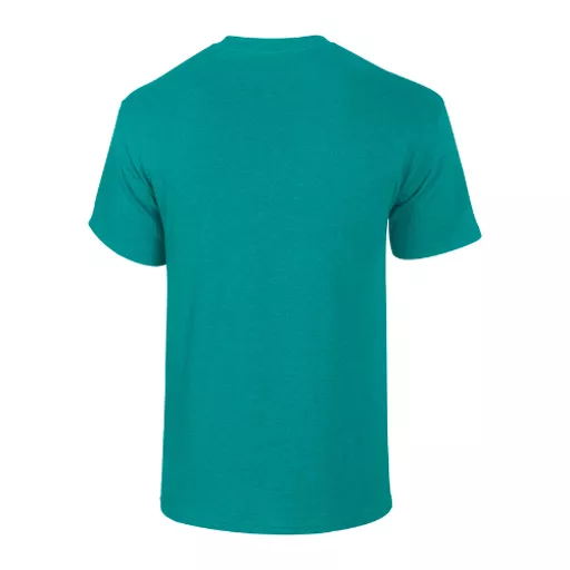 Gildan_GD005_AntiqueJadeDome_Back.png