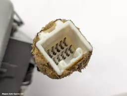 285ea4bf-0904-4f5c-a9cc-d1f1733b112f.jpeg?