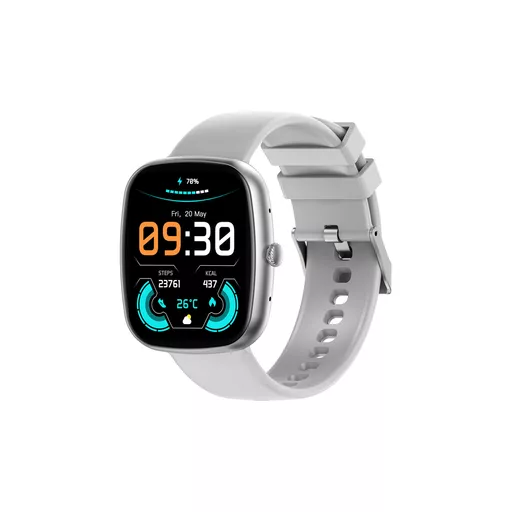 DEV-WT5-SW-SLV1 (Copy).png