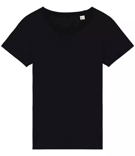 Native Spirit Ladies T-Shirt