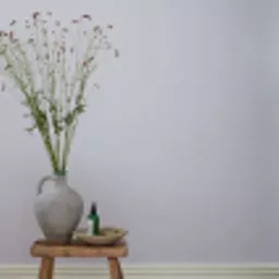 lily lily rose wall.webp